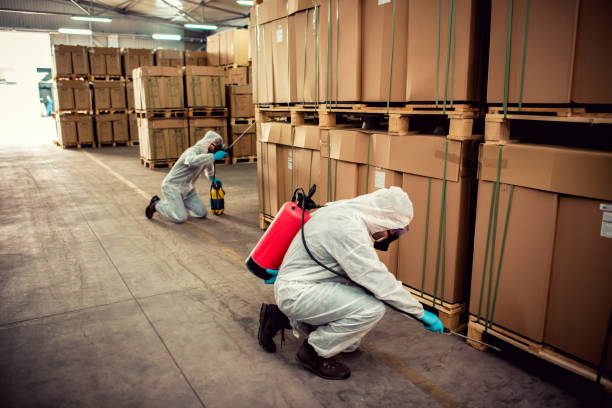 Best Affordable Pest Control Services  in Douglas, GA