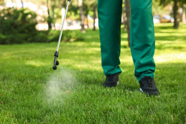 Best Rat Extermination Near Me  in Douglas, GA
