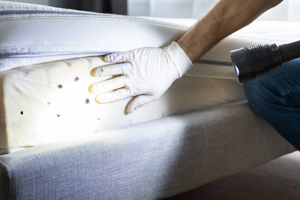 Best Local Pest Control Services  in Douglas, GA
