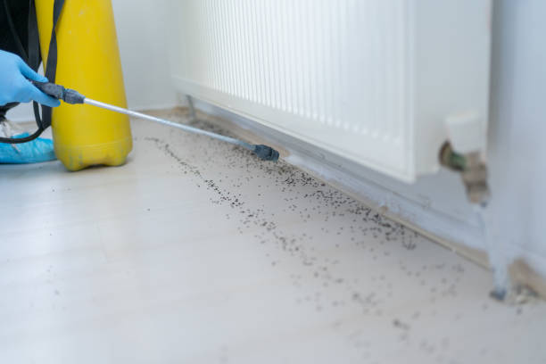 Best Pest Removal Services  in Douglas, GA