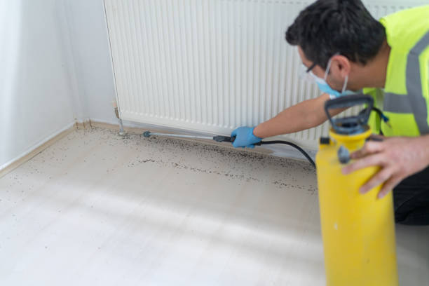 Pest Control Cost in Douglas, GA
